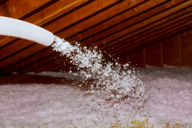 Best DIY Insulation Kits and Guidance in Decorah, IA