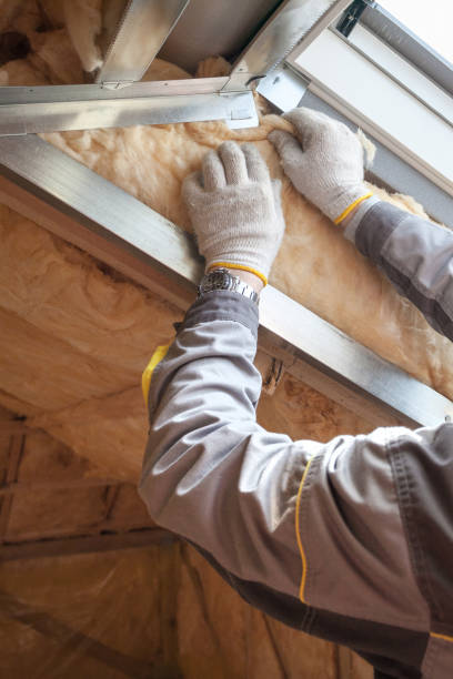 Best Insulation Maintenance and Repair in Decorah, IA