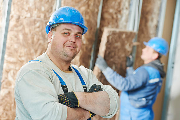 Best Geographic-Specific Insulation Services in Decorah, IA